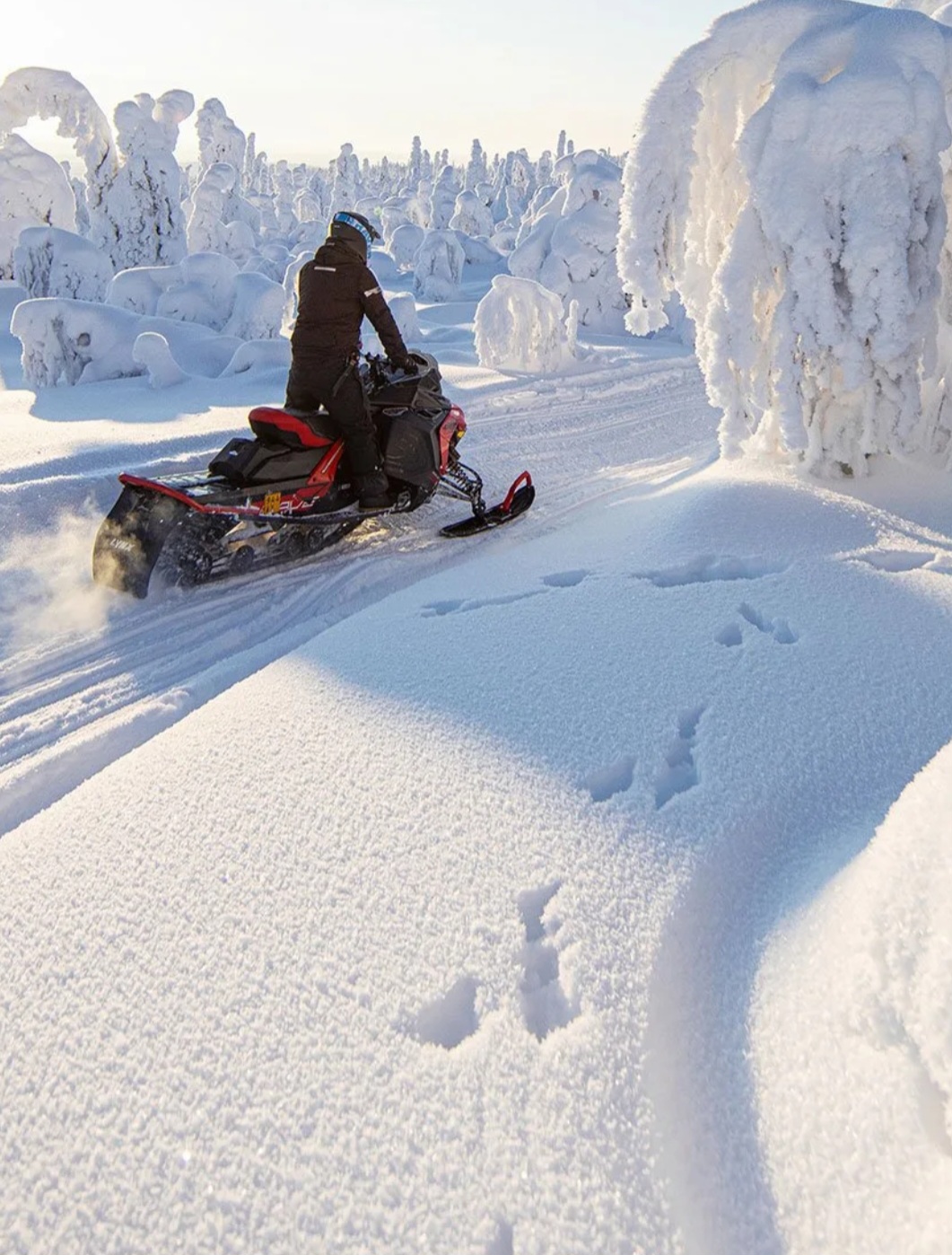 Arc Vitae luxury destination wellness suite alpine snow environment